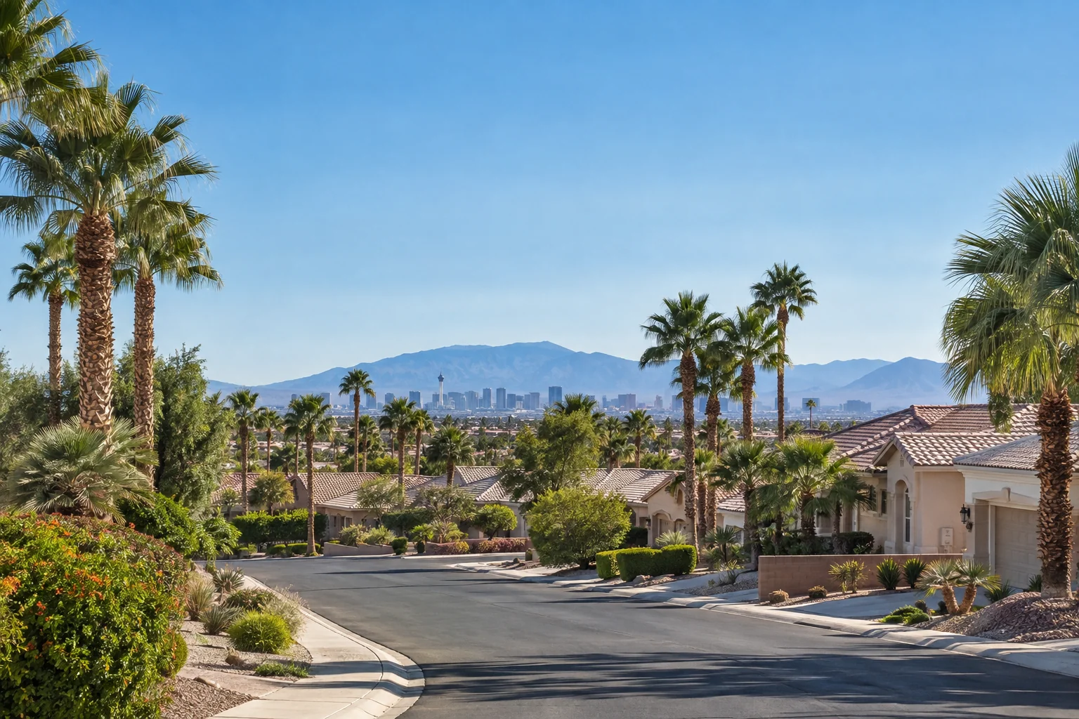 Illustrative homes and palms along a valley street for Ace Pest Control’s pest control in Las Vegas