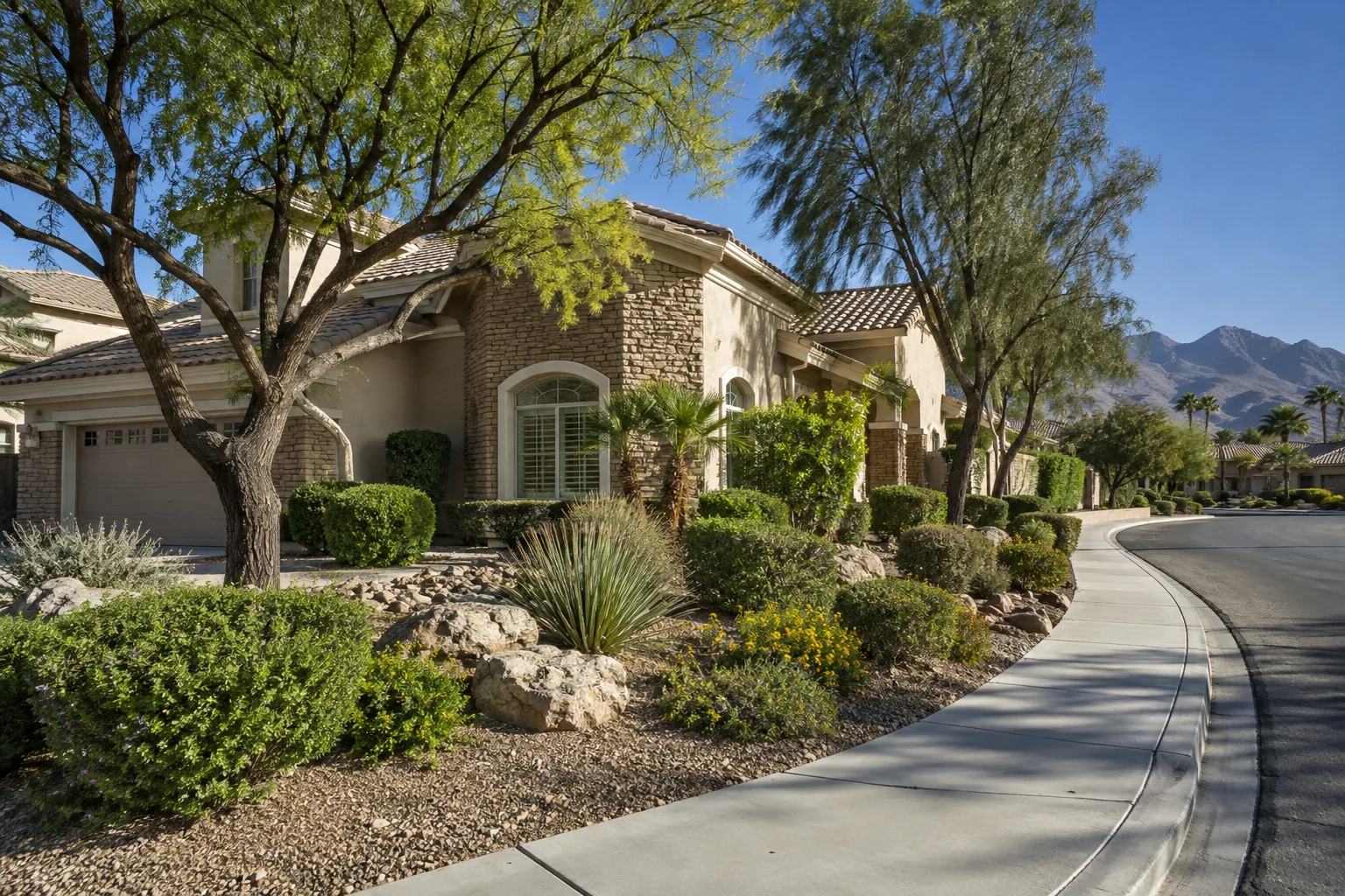 Illustrative corner home with shade trees and desert landscaping for Ace Pest Control’s pest control in Spring Valley