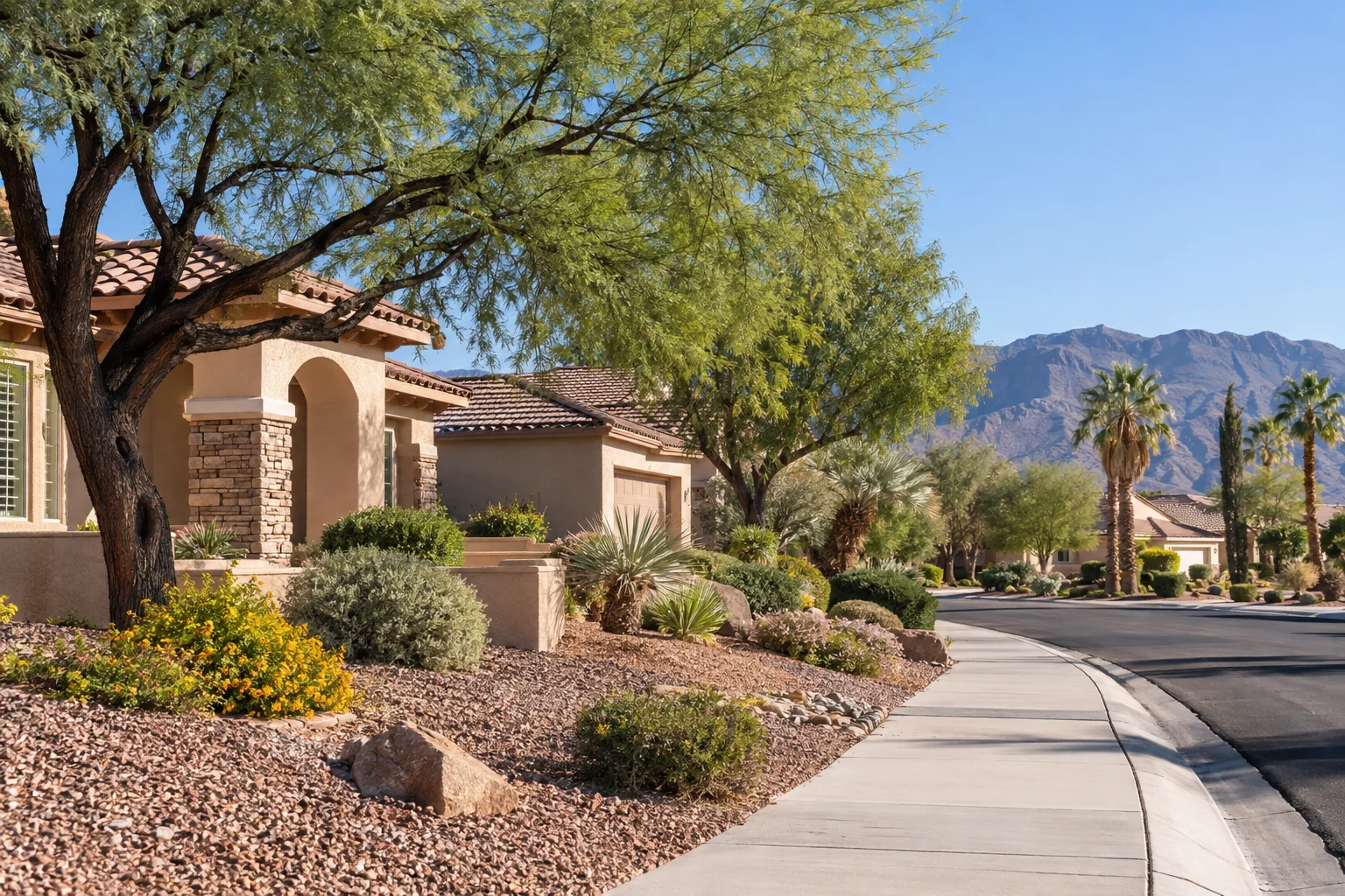 Illustrative single story homes and mature trees for Ace Pest Control’s pest control in West Las Vegas
