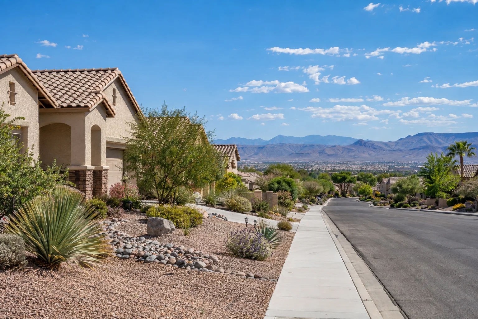 Illustrative stucco homes with yucca and gravel gardens for Ace Pest Control’s pest control in Whitney